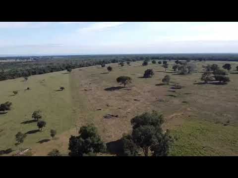 FA1540 - FAZENDA EM LAMBARI D' OESTE - MT