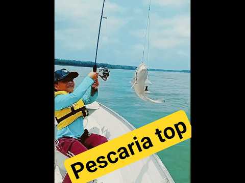 pescaria top em São Caetano de Odivelas #fishing #pescaria #pesca #terapia