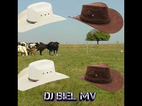 DJ Kévin Ft. Luan Pereira - 5 Playboy Não Faz (CLIPE OFICIAL) DJ Biel MV