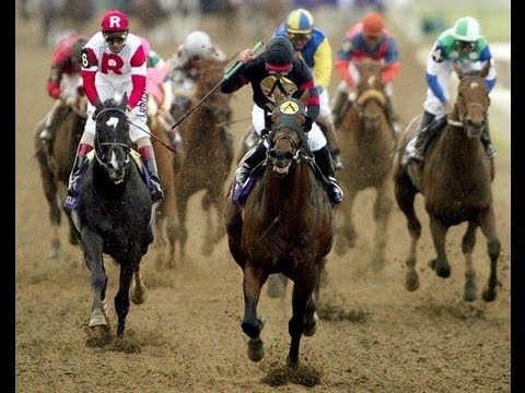 2004 Breeders' Cup Classic - Ghostzapper + Post Race