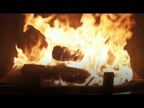 Selling Pini-Kay, RUF, Nestro Briquettes &amp; Wood Pellets