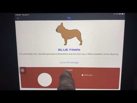 Colour Coat Calculator