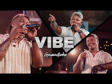 Gamadinho à Vontade - Vibe