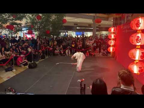 Nw wushu drunken style