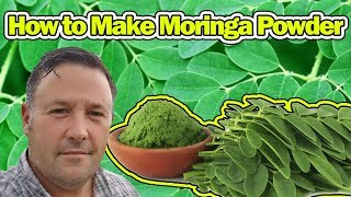 How to Make Moringa Powder - Super Healthy - Tree of Life
