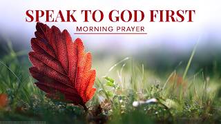 Lord, Renew My Heart and Purify My Desires | A Blessed Morning Prayer