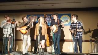 Hear The Willow Cry | Hedgerow | Joe Val Bluegrass Festival