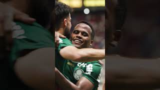 VERDÃO DECIDE! ASSISTA AOS GOLS CONTRA O BAHIA ⚽️⚽️