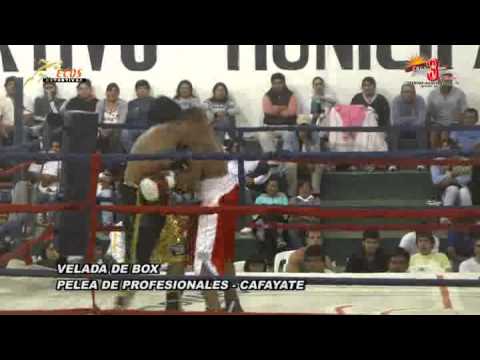 PELEA PROFESIONAL SUPERWELTER 18-01-2014