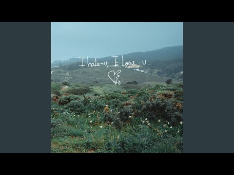 I Hate U, I Love U (Remix)