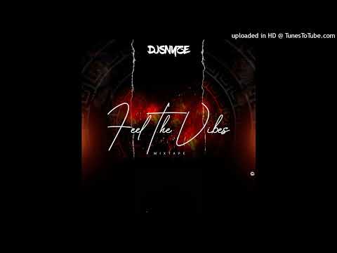 Feel The Vibes Mixtape By Dj Snyze