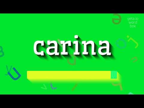 How to say "carina"! (High Quality Voices)