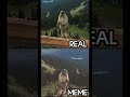 Beaver Voice Real Vs Meme Satisfying Beavers Meme Animals Sound