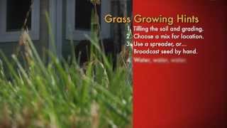 Seeding A New Lawn - Hank's Hints - Tough Grit