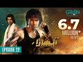 Akhara Episode 22 Feroze Khan Digitally Powered By Master Paints Presented By Milkpak
