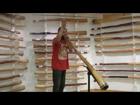How To Imitate Animal Sounds On The Didgeridoo