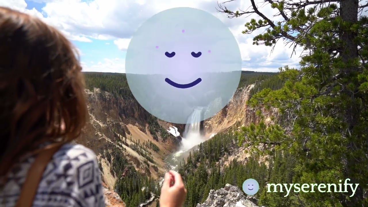 Exploring the Insight Meditation Center: Location & Offerings, where is insight meditation center