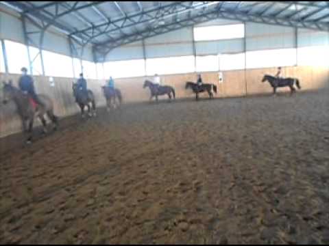 Egy februári lovasnap