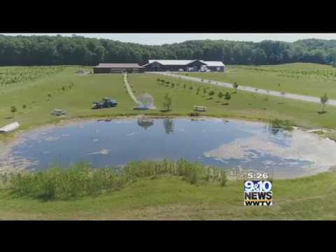 Brewvine Mackinaw Trail Winery in Petoskey