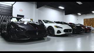 The Perfect Auto Collection Showroom