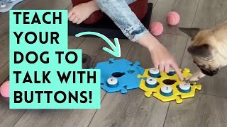 4 Simple Steps to Teach Your Dog How to Use Buttons | Talk & Use Basic Communication