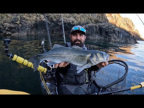 Catching Big Bass On Surface Lures - Kayak Fishing For Bass - Bass Fishing Uk - Kayak Fishing Uk