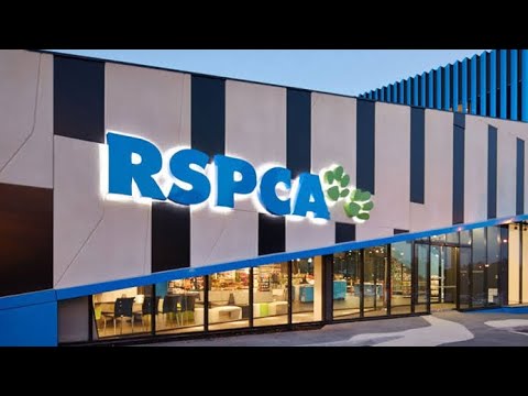 RSPCA - Pet Adoption in Melbourne