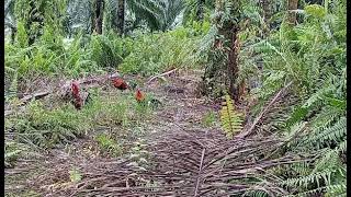 Download lagu December 21, 2025 mp3