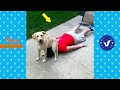 BAD DAY Better Watch This 😂 Best Funny & Fails Of The Year 2023 Part 13