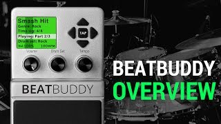 BeatBuddy -- Overview