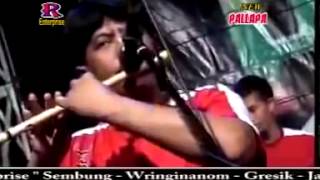 Download lagu Dangdut New Pallapa Lilin Herlina Aku tak Butuh Cinta mp3