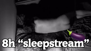 SLEEP 2013 remake after Andy Warhol 1963