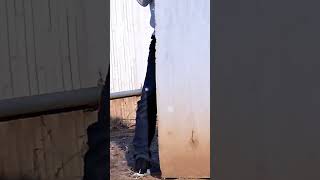 数撃ちゃ当たる一撃 Thigh shot! #airsoftgun #airsoft #ショート動画