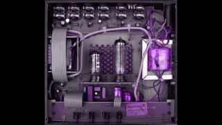 Pupastep Amplifier - Alf man