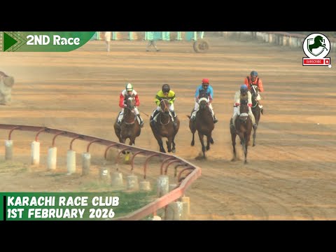 KRC | 2. Rennen, 1. Februar 2026 | SIEGER: COPPER VOCTORY