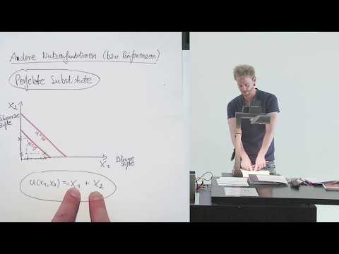 Perfect Substitutes (Indifference Curves and Utility Function) (9.3)