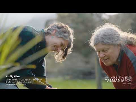 2022 GGAA: Next Gen. Learning & Skills – UTAS