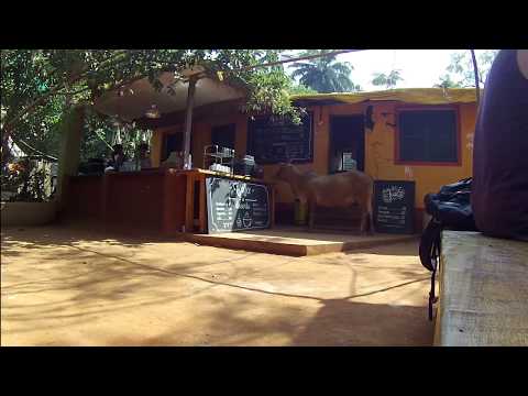 Gal Levy - PROJECT 28 #7 Too Good