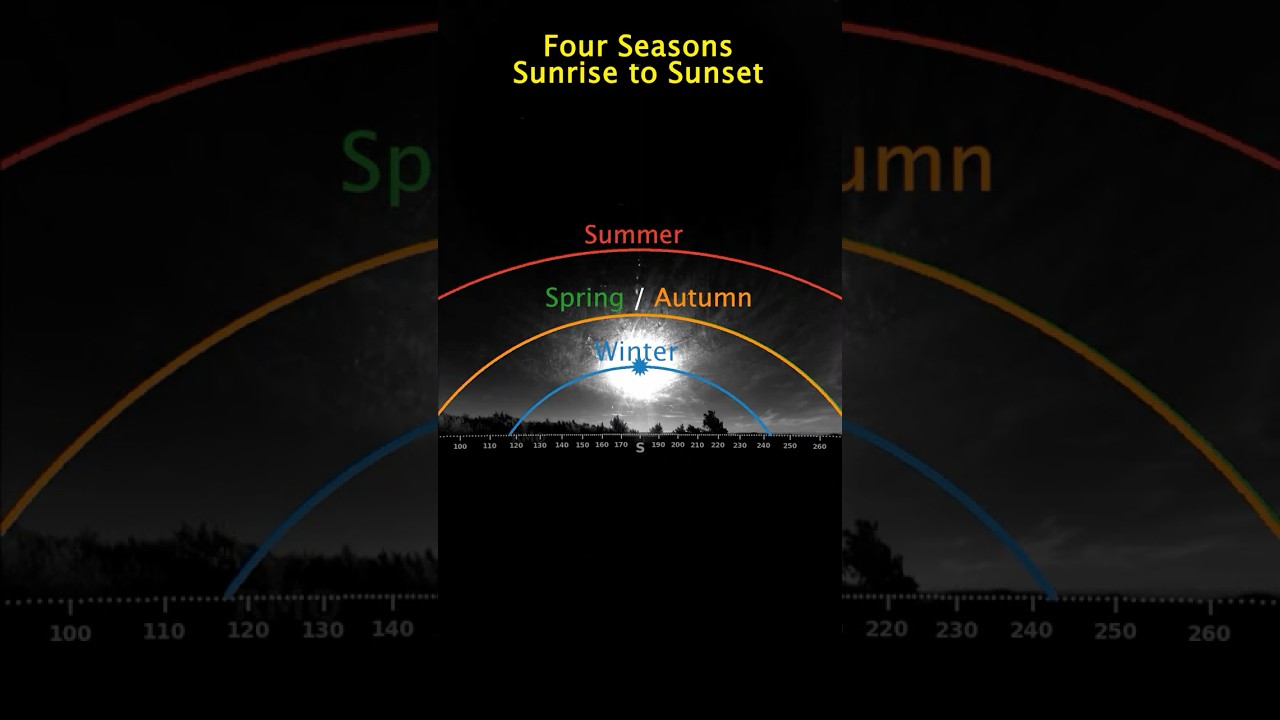 Four Seasons: Sunrise to Sunset (B&W)