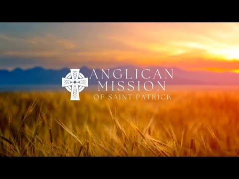 Homily: Romans 11:13-24