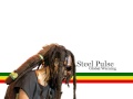 Steel Pulse - Global Warning