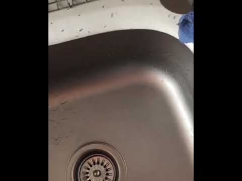 Kinyas (musluk ile düet)