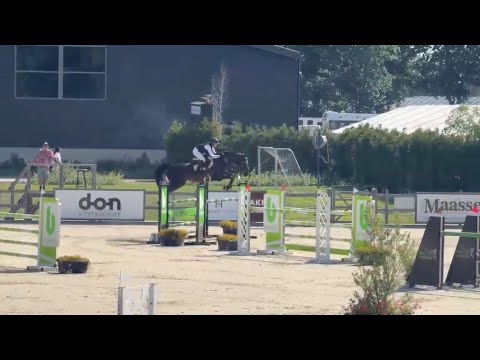 16. Indiga Show | 7yo 1.35 Class