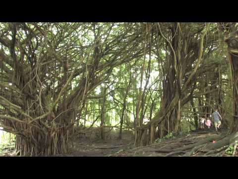 Exploring The Big Island EP 01