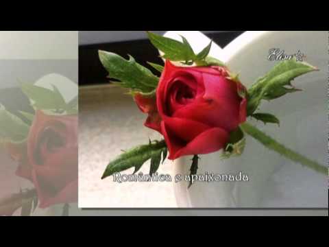 Direto No Olhar video