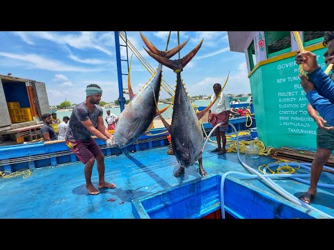 Ohh Final Day! On The Last Day We Caught Fish And Returned To The Fishing Port | Day-13 | S04-EP14