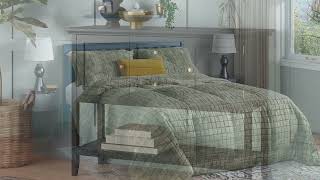 Krylon Color of the Year 2025