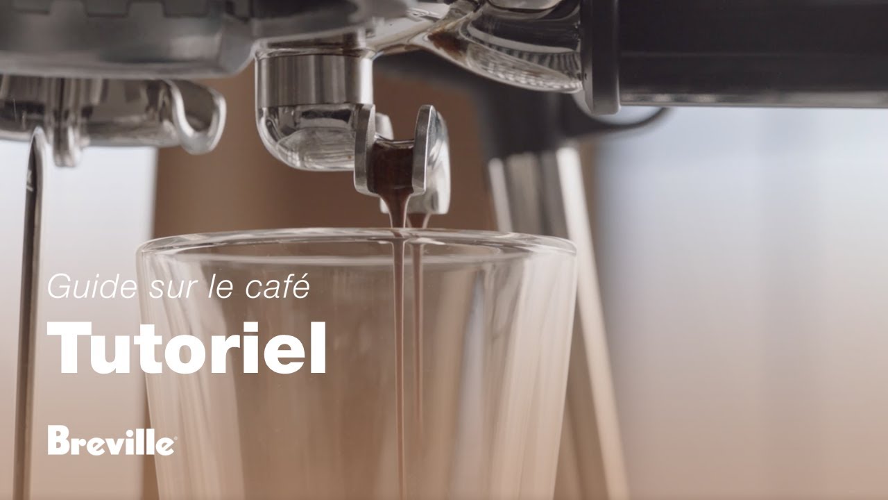 Guide didactique du café Breville - Équilibrer votre extraction