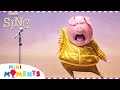 1 Hour Of Sing Pop Songs Sing And Sing 2