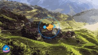 GATTÜSO X Liquid Todd - Easy Boy